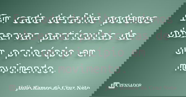 Em cada detalhe podemos observar partículas de um princípio em movimento.... Frase de Julio Ramos da Cruz Neto.