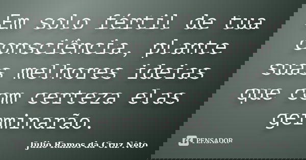 Em solo fértil de tua consciência, plante suas melhores ideias que com certeza elas germinarão.... Frase de Julio Ramos da Cruz Neto.