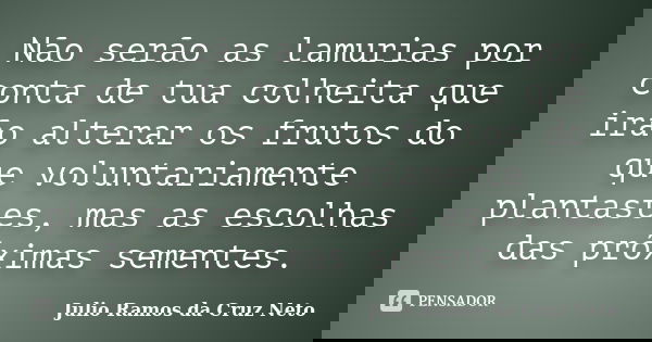 Não serão as lamurias por conta de tua colheita que irão alterar os frutos do que voluntariamente plantastes, mas as escolhas das próximas sementes.... Frase de Julio Ramos da Cruz Neto.