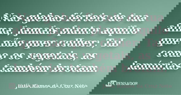 Nas glebas férteis de tua alma, jamais plante aquilo que não quer colher; Tal como os vegetais, as lamúrias também brotam.... Frase de Julio Ramos da Cruz Neto.