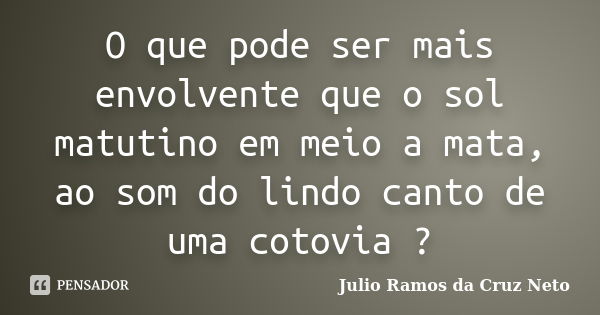 O que pode ser mais envolvente que o sol matutino em meio a mata, ao som do lindo canto de uma cotovia ?... Frase de Julio Ramos da Cruz Neto.