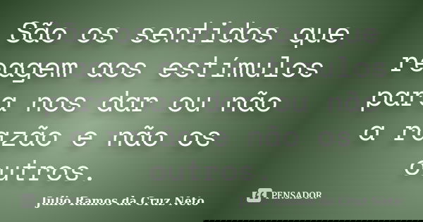 São os sentidos que reagem aos estímulos para nos dar ou não a razão e não os outros.... Frase de Julio Ramos da Cruz Neto.