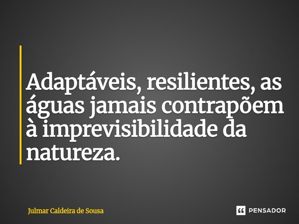 ⁠ Adaptáveis, resilientes, as águas jamais contrapõem à imprevisibilidade da natureza.... Frase de Julmar Caldeira de Sousa.