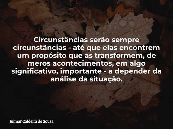 Circunstâncias serão sempre circunstâncias - até que elas encontrem um propósito que as transformem, de meros acontecimentos, em algo significativo, importante ... Frase de Julmar Caldeira de Sousa.
