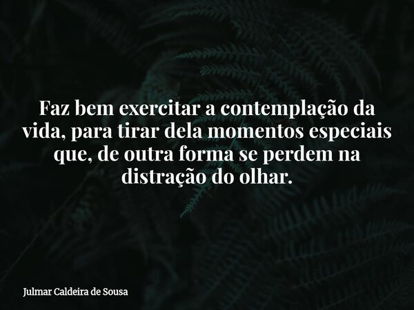 Faz bem exercitar a contemplação da vida, para tirar dela momentos especiais que, de outra forma se perdem na distração do olhar.... Frase de Julmar Caldeira de Sousa.