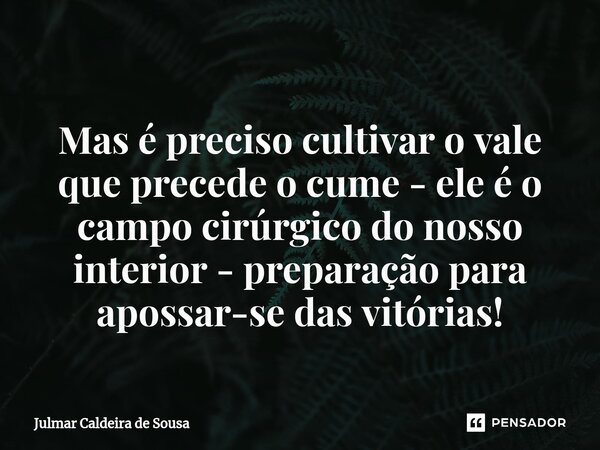 ⁠ Mas é preciso cultivar o vale que precede o cume - ele é o campo cirúrgico do nosso interior - preparação para apossar-se das vitórias!... Frase de Julmar Caldeira de Sousa.
