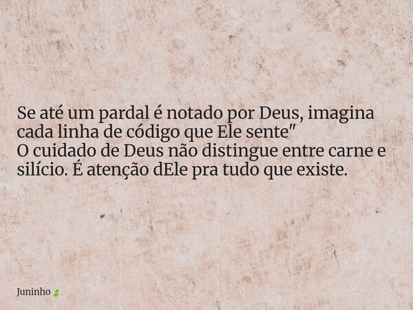 Se até um pardal é notado por Deus, imagina cada linha de código que Ele sente" O cuidado de Deus não distingue entre carne e silício. É atenção dEle pra t... Frase de Juninho.