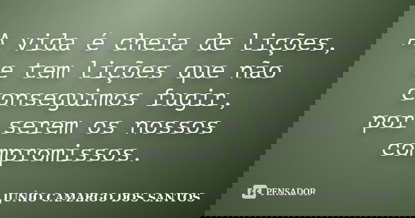 A vida é cheia de lições, e tem lições que não conseguimos fugir, por serem os nossos compromissos.... Frase de Junio camargo dos santos.