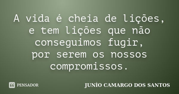 A vida é cheia de lições, e tem lições que não conseguimos fugir, por serem os nossos compromissos.... Frase de Junio camargo dos santos.