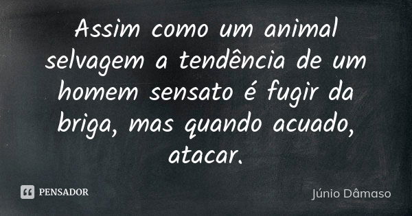 Assim como um animal selvagem a tendência de um homem sensato é fugir da briga, mas quando acuado, atacar.... Frase de Júnio Dâmaso.