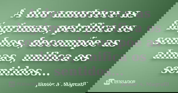 A dor amortece as lágrimas, petrifica os sonhos, decompõe as almas, unifica os sentidos...... Frase de Junior A. Magrafil.