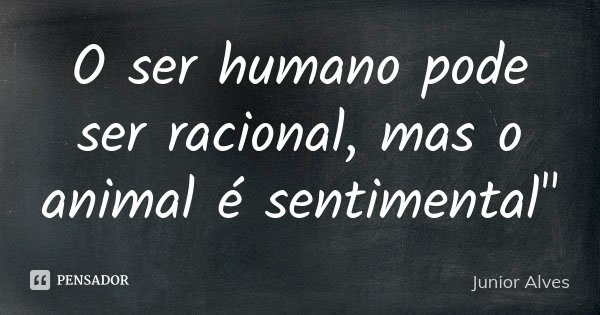 O ser humano pode ser racional, mas o animal é sentimental"... Frase de Junior Alves.