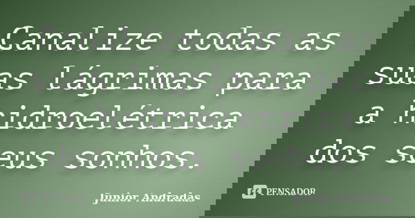 Canalize todas as suas lágrimas para a hidroelétrica dos seus sonhos.... Frase de Junior Andradas.