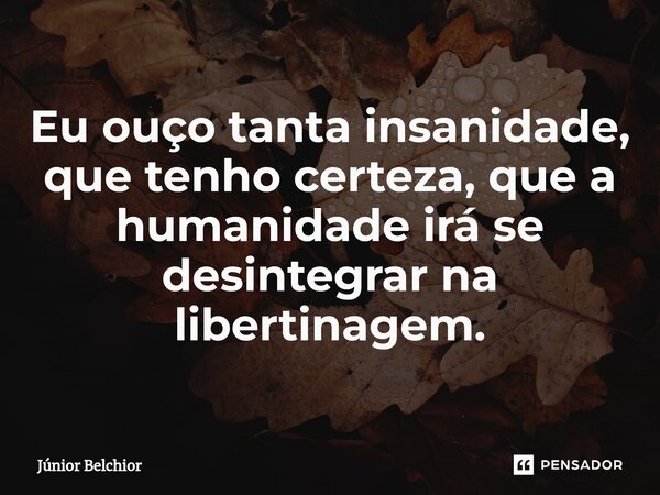 ⁠Eu ouço tanta insanidade, que tenho certeza, que a humanidade irá se desintegrar na libertinagem.... Frase de Junior Belchior.