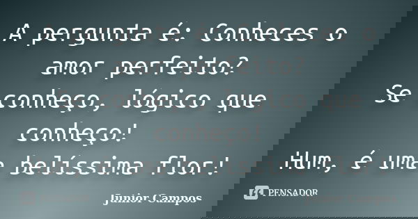 A pergunta é: Conheces o amor perfeito? Se conheço, lógico que conheço! Hum, é uma belíssima flor!... Frase de JUNIOR CAMPOS.