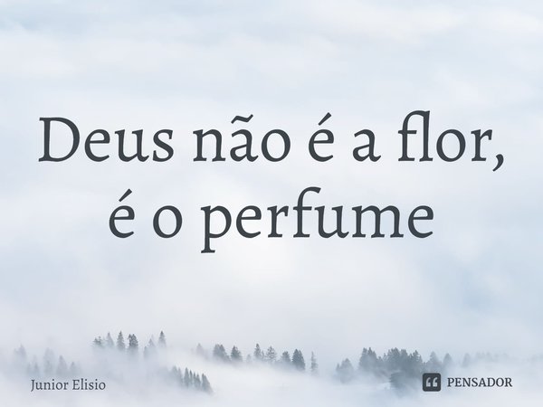 ⁠Deus não é a flor, é o perfume... Frase de Junior Elisio.