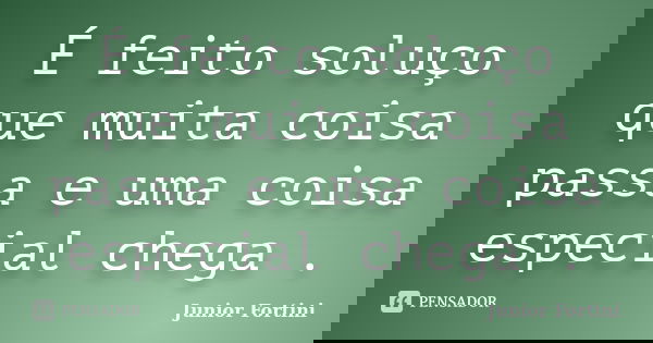 É feito soluço que muita coisa passa e uma coisa especial chega .... Frase de Junior Fortini.