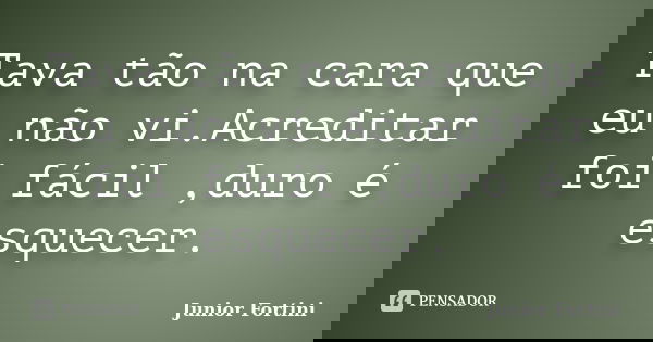 Tava tão na cara que eu não vi.Acreditar foi fácil ,duro é esquecer.... Frase de Junior Fortini.