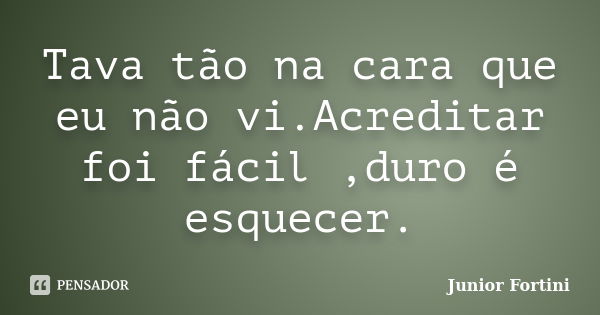 Tava tão na cara que eu não vi.Acreditar foi fácil ,duro é esquecer.... Frase de Junior Fortini.