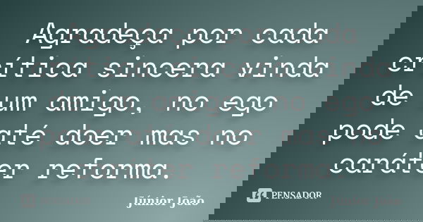 Agradeça por cada crítica sincera vinda de um amigo, no ego pode até doer mas no caráter reforma.... Frase de Júnior João.