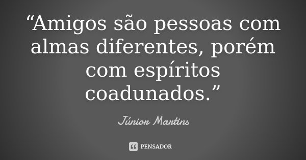 “Amigos são pessoas com almas diferentes, porém com espíritos coadunados.”... Frase de Júnior Martins.