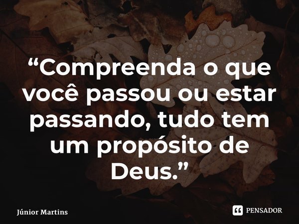 “⁠Compreenda o que você passou ou estar passando, tudo tem um propósito de Deus.”... Frase de Júnior Martins.
