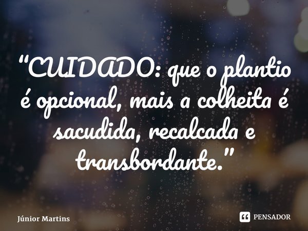 “CUIDADO: que o plantio é opcional, mais a colheita é sacudida, recalcada e transbordante.”⁠... Frase de Júnior Martins.