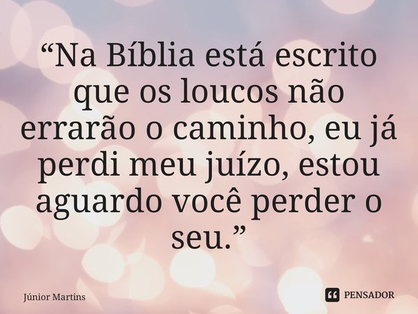 “Na Bíblia está escrito que os loucos não errarão o caminho, eu já perdi meu juízo, estou aguardo você perder o seu.⁠”... Frase de Júnior Martins.