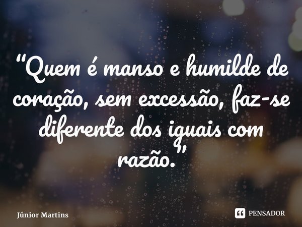 “⁠Quem é manso e humilde de coração, sem excessão, faz-se diferente dos iguais com razão.”... Frase de Júnior Martins.