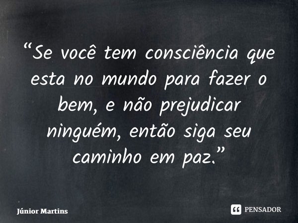 “Se você tem consciência que esta no mundo para fazer o bem, e não prejudicar ninguém, então siga seu caminho em paz.”... Frase de Júnior Martins.