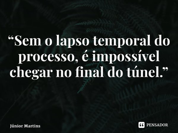 “Sem o lapso temporal do processo, é impossível chegar no final do túnel.” ⁠... Frase de Júnior Martins.
