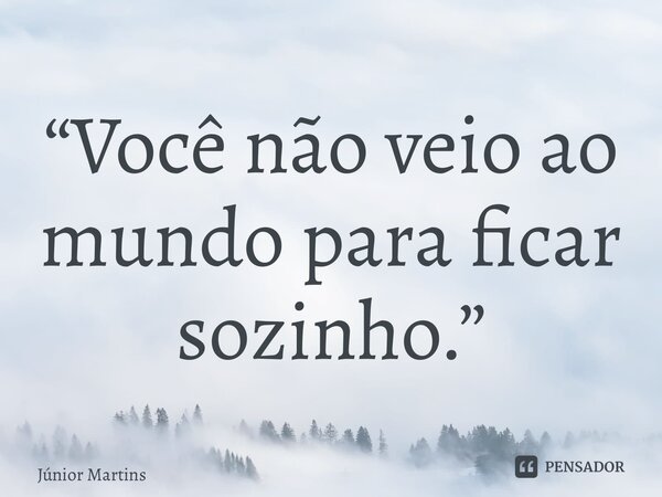 “Você não veio ao mundo para ficar sozinho.”⁠... Frase de Júnior Martins.