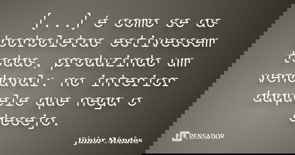 [...] é como se as borboletas estivessem todas, produzindo um vendaval: no interior daquele que nega o desejo.... Frase de Júnior Mendes.