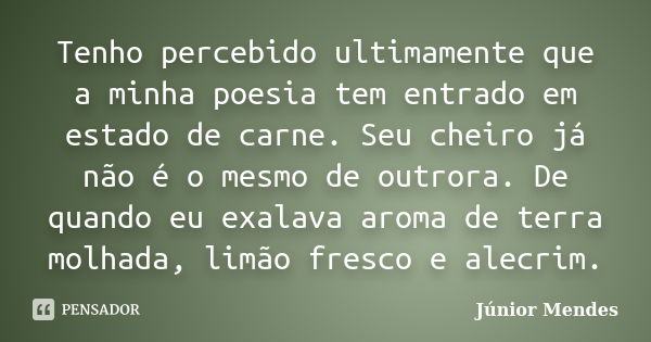 Tenho percebido ultimamente que a minha poesia tem entrado em estado de carne. Seu cheiro já não é o mesmo de outrora. De quando eu exalava aroma de terra molha... Frase de Júnior Mendes.