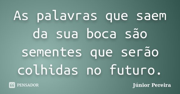 As palavras que saem da sua boca são sementes que serão colhidas no futuro.... Frase de Júnior Pereira.