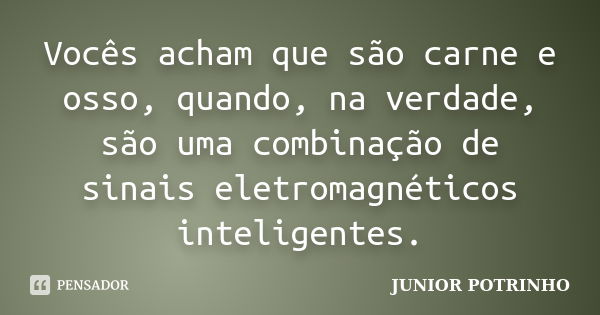 Vocês acham que são carne e osso, quando, na verdade, são uma combinação de sinais eletromagnéticos inteligentes.... Frase de JUNIOR POTRINHO.