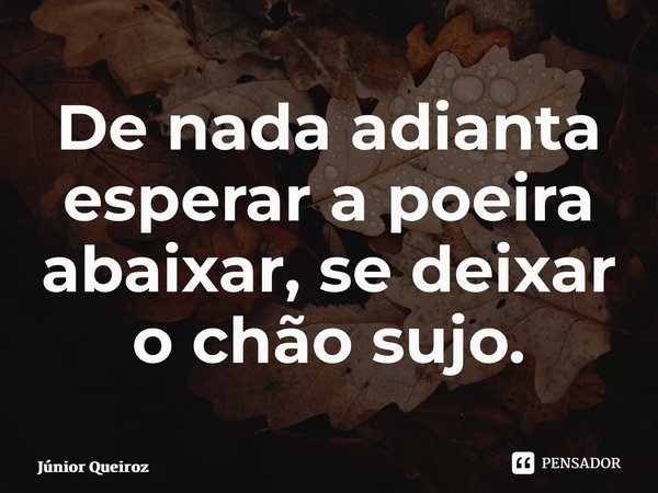 De nada adianta esperar a poeira abaixar, se deixar o chão sujo.... Frase de Junior Queiroz.