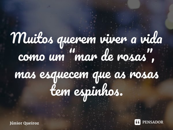 ⁠Muitos querem viver a vida como um “mar de rosas”, mas esquecem que as rosas tem espinhos.... Frase de Junior Queiroz.