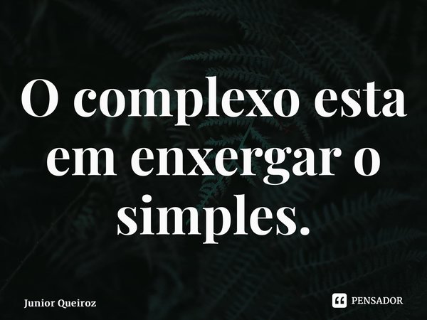 ⁠O complexo está em enxergar o simples.... Frase de Junior Queiroz.