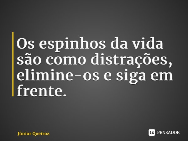 ⁠Os espinhos da vida são como distrações, elimine-os e siga em frente.... Frase de Junior Queiroz.