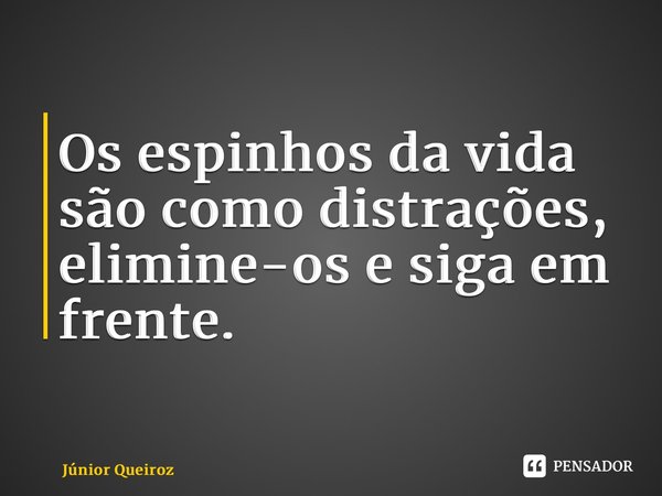 ⁠Os espinhos da vida são como distrações, elimine-os e siga em frente.... Frase de Junior Queiroz.