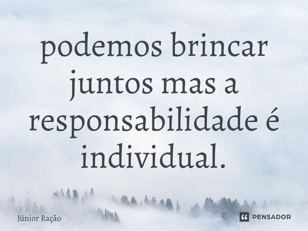 ⁠podemos brincar juntos mas a responsabilidade é individual.... Frase de Júnior Ração.