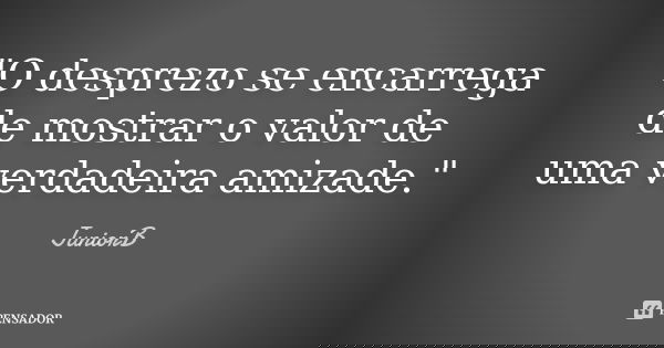 "O desprezo se encarrega de mostrar o valor de uma verdadeira amizade."... Frase de JuniorB.