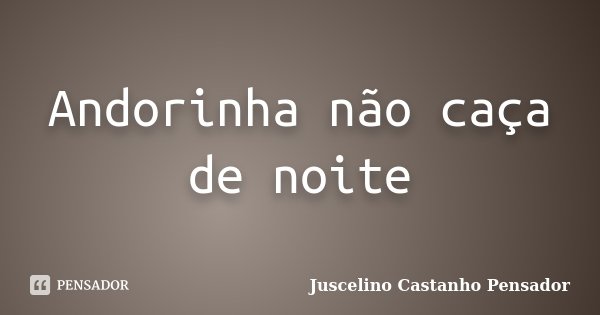 Andorinha não caça de noite... Frase de Juscelino Castanho Pensador.