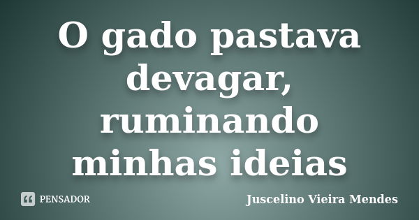 O gado pastava devagar, ruminando minhas ideias... Frase de Juscelino Vieira Mendes.