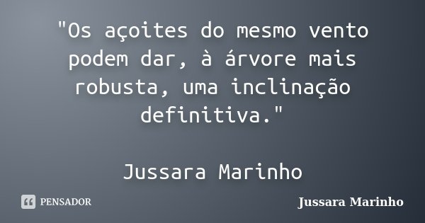 "Os açoites do mesmo vento podem dar, à árvore mais robusta, uma inclinação definitiva." Jussara Marinho... Frase de Jussara Marinho.