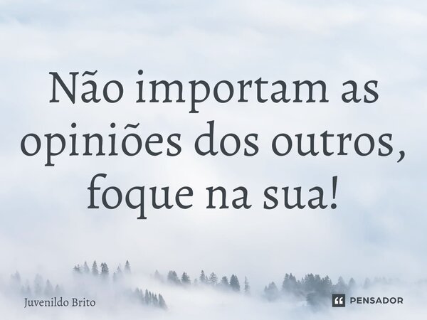 ⁠Não importam as opiniões dos outros, foque na sua!... Frase de Juvenildo Brito.
