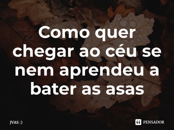 ⁠Como quer chegar ao céu se nem aprendeu a bater as asas... Frase de JVAS :).