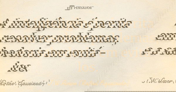 A inteligência é perita em resolver problemas, e a sabedoria em evitá-los.... Frase de J.W.Amor (Rafael Figueiredo).