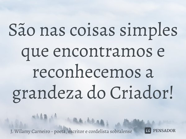 ⁠São nas coisas simples que encontramos e reconhecemos a grandeza do Criador!... Frase de J. Wilamy Carneiro - poeta, escritor e cordelista sobralense.